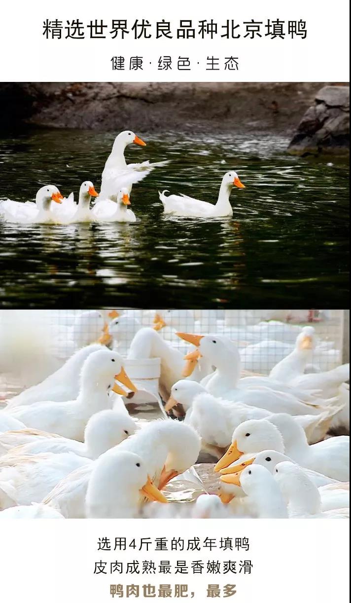 1584251719873286.jpg 20200315134449.jpg