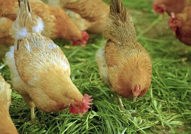 1584251777324459.jpg 20200315134523.jpg